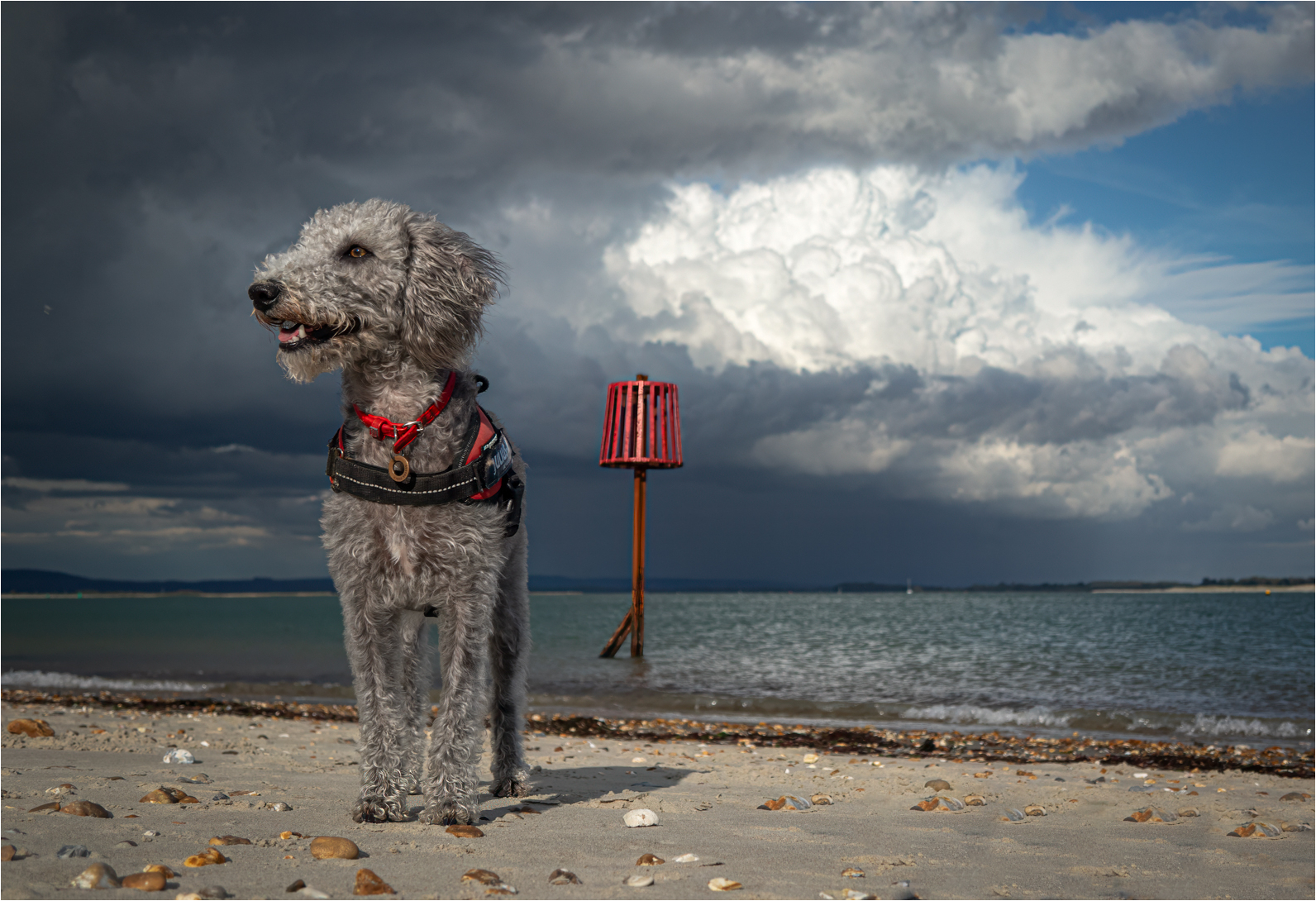 2nd Place - Peter Hickson - It's Raining On The Mainland